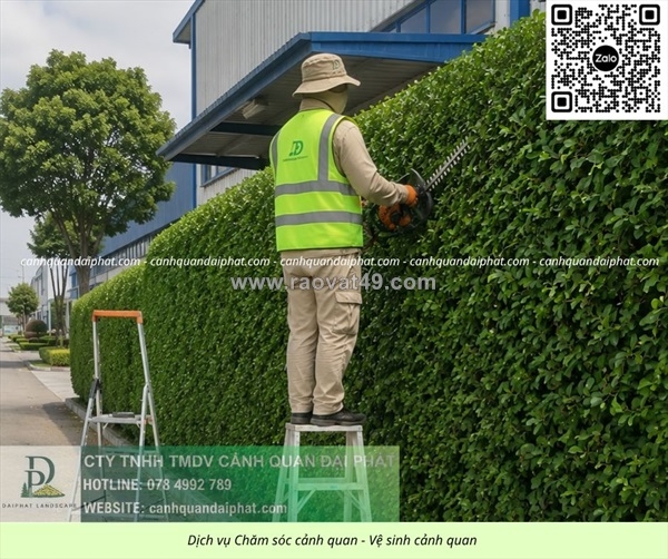 ~/Img/2026/8/dich-vu-cat-co-cham-soc-cay-xanh-kcn-loc-an-binh-son-dong-nai-02.jpg