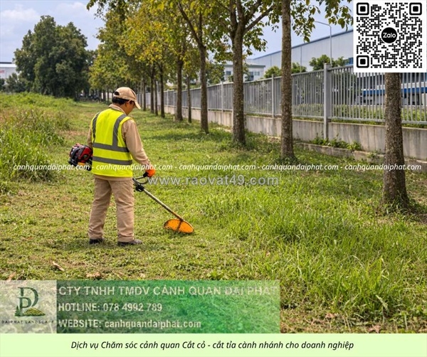 ~/Img/2026/8/dich-vu-cat-co-cua-cay-binh-duong-nhanh-chong-an-toan-chuyen-nghiep-01.jpg