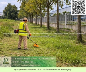 Dịch vụ cắt cỏ – cưa cây bình dương | nhanh chóng – an toàn – chuyên nghiệp