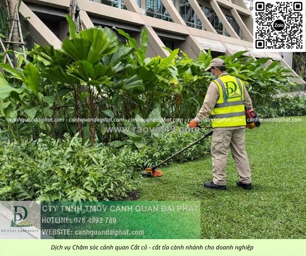 ~/Img/2026/8/dich-vu-cat-co-cua-cay-binh-duong-nhanh-chong-an-toan-chuyen-nghiep-02.jpg
