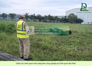 Dịch vụ cắt cỏ, cưa cây kcn mỹ xuân – bà rịa vũng tàu