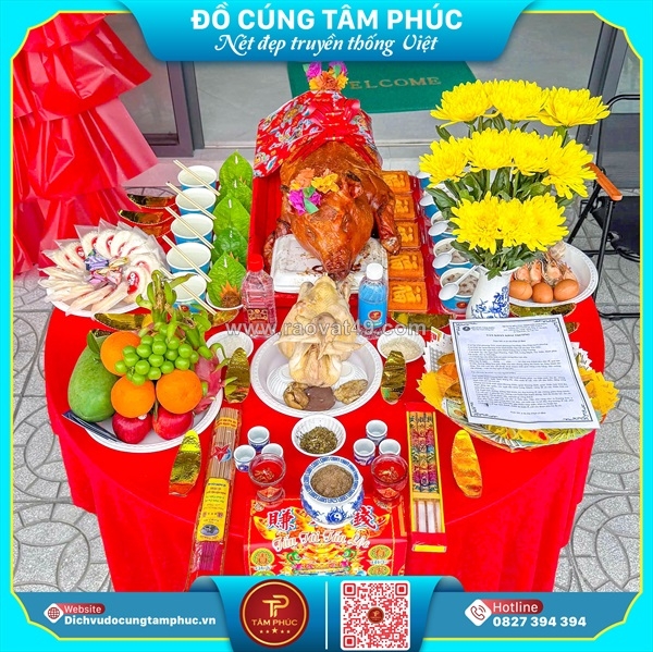 ~/Img/2026/8/dich-vu-do-cung-tam-phuc-01.jpg