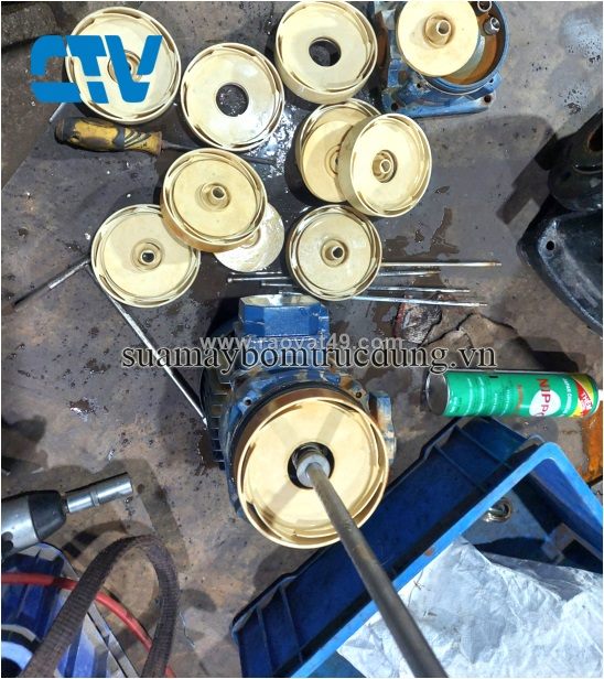 Dịch vụ sửa chữa, thay bộ ruột buồng cánh máy bơm trục đứng tại cường thịnh vương