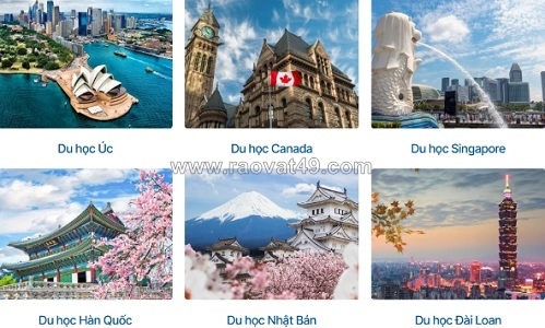 ~/Img/2026/8/dich-vu-tu-van-du-hoc-ket-noi-giua-nganh-hoc-va-nhu-cau-tuyen-dung-01.jpg