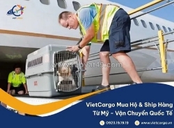 Dịch vụ vận chuyển – trung chuyển trọn gói thú cưng đến úc uy tín từ vietcargo