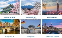 Du học tân đại dương – luôn đồng hành trong từng giai đoạn chuẩn bị hồ sơ