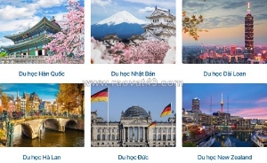 Du học tân đại dương – luôn đồng hành trong từng giai đoạn chuẩn bị hồ sơ