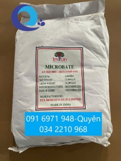 Enzyme xử lý nước, enzyme cắt tảo microbate nguyên liệu
