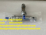 Festo giá tốt - xi lanh khí nén tiêu chuẩn dsn-16-10-p