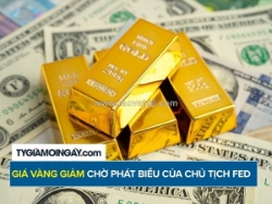Giá vàng giảm chờ phát biểu của chủ tịch fed