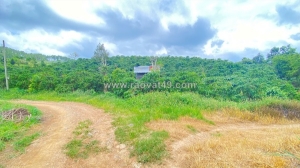 Hẻm ql20 - hiệp thuận, ninh gia, lâm đồng - gần trạm dừng chân lê sáng