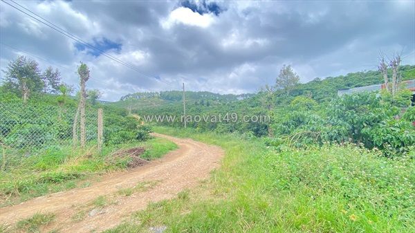 Hẻm ql20 - hiệp thuận, ninh gia, lâm đồng - gần trạm dừng chân lê sáng