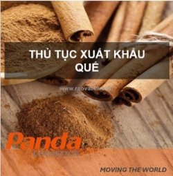 Hướng dẫn thủ tục xuất khẩu quế