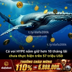 Hype whale vẫn chưa chốt lời