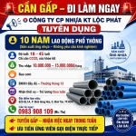 [làm ngay, kkn, bao cơm] 10 lao động phổ thông