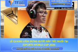 Lê quang liêm dừng bước đầy tiếc nuối tại esports world cup 2026