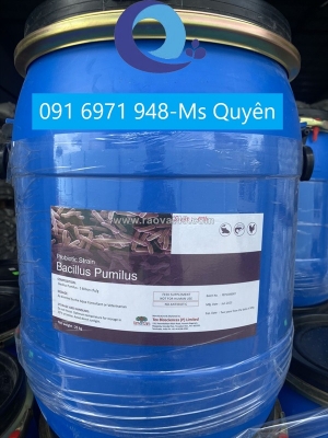 Men tiêu hóa bacillus pumilus cho tôm cá hàng ấn độ