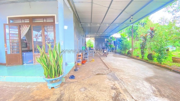 ~/Img/2026/8/nha-thuoc-phu-hoi-cu-duc-trong-lam-dong-khu-dan-cu-01.jpg