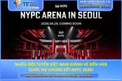 Nhiều đội tuyển việt nam giành vé đến hàn quốc dự chung kết nypc 2026!
