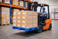 Pallet nhựa paulan - giải pháp lưu trữ và vận chuyển hàng hóa bền bỉ cho mọi doanh nghiệp
