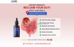 Paramd parasite cleanse – how to use it for better digestive support