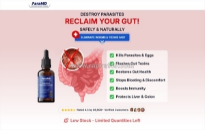Paramd parasite cleanse – how to use it for better digestive support