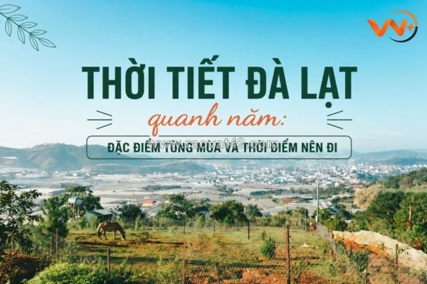 ~/Img/2026/8/thoi-tiet-da-lat-quanh-nam-dac-diem-tung-mua-va-thoi-diem-nen-di-01.jpg