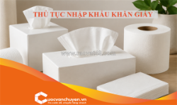 Thủ tục nhập khẩu khăn giấy