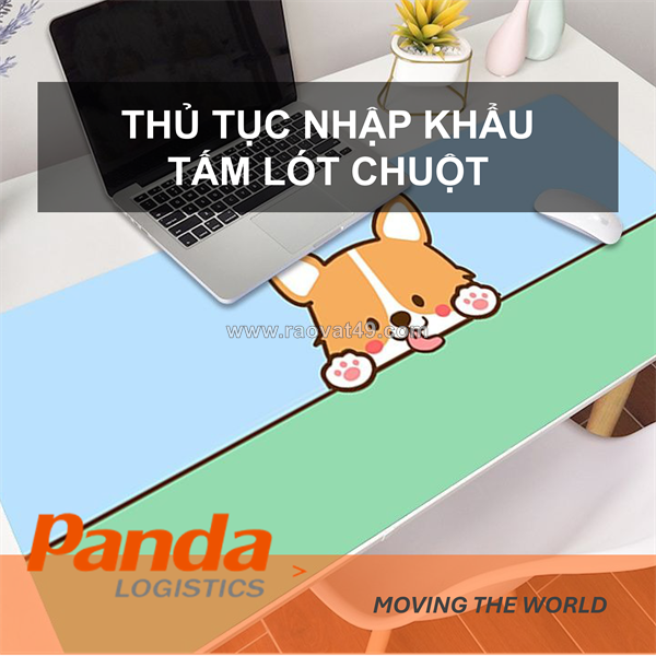 ~/Img/2026/8/thu-tuc-nhap-khau-tam-lot-chuot-01.png