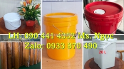 Thùng đựng sơn 20 lít vuông dày, thùng sơn tròn 19 lít nắp garenti, thùng sơn trơn  lít nắp rót