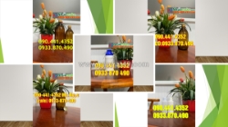 Thùng đựng sơn nội thất 20 lít, thùng sơn nhựa  lít, vỏ thùng sơn 16 lít màu đỏ, vàng, xanh, tím…