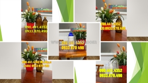 Thùng đựng sơn nội thất 20 lít, thùng sơn nhựa  lít, vỏ thùng sơn 16 lít màu đỏ, vàng, xanh, tím…