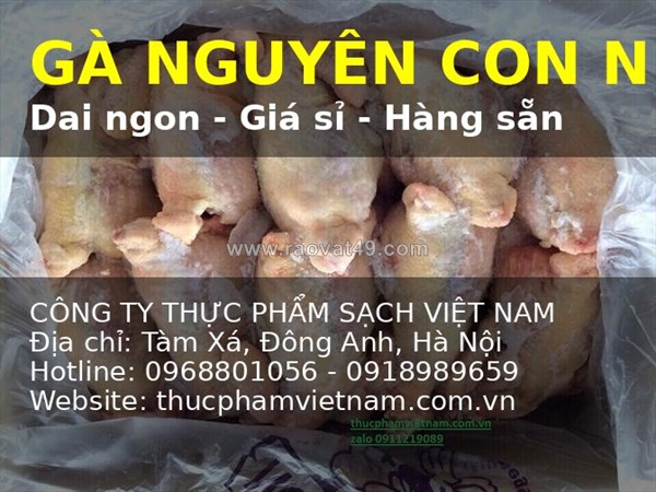 Từ một con gà đến cả thực đơn – gà nguyên con nhập khẩu