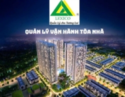 Tư vấn , quản lý vận hành tòa nhà chung cư tại thành phố hải phòng