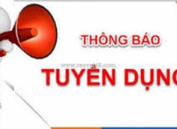 Tuyển kế toán, kcs, thủ kho