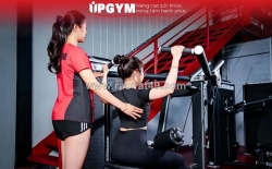 Up gym - địa điểm tập luyện hiện đại, đa dạng bộ môn cải thiện vóc dáng, sức khỏe