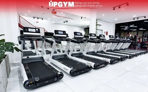 ~/Img/2026/8/up-gym-phong-gym-co-pt-gia-re-voi-khong-gian-tap-luyen-hien-dai-01.jpg