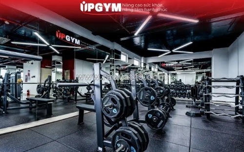 ~/Img/2026/8/up-gym-voi-khong-gian-phong-gym-hien-dai-thiet-bi-da-dang-01.jpg