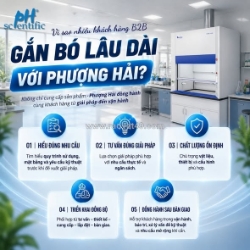 Vì sao nhiều khách hàng b2b gắn bó lâu dài với phượng hải?