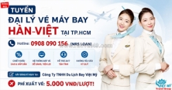 Việt mỹ tuyển đại lý vé máy bay hàn quốc – việt nam