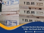 Vietcargo - hỗ trợ toàn diện quy trình đóng gói, xử lý hun trùng, thông quan xuất khẩu