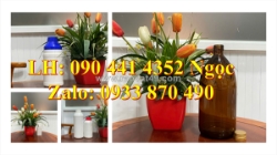 Vỏ chai thủy tinh 250ml dày, chai thủy tinh 0.5 lít chịu nhiệt, chai đựng hóa chất  1 lít chịu 500độ c