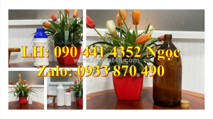 Vỏ chai thủy tinh 250ml dày, chai thủy tinh 0.5 lít chịu nhiệt, chai đựng hóa chất  1 lít chịu 500độ c