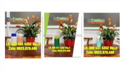 Vỏ thùng sơn  lít nắp rót, thùng nhựa 20 lít đựng phân bón, xô nhựa 22 lít đựng nước sinh hoạt
