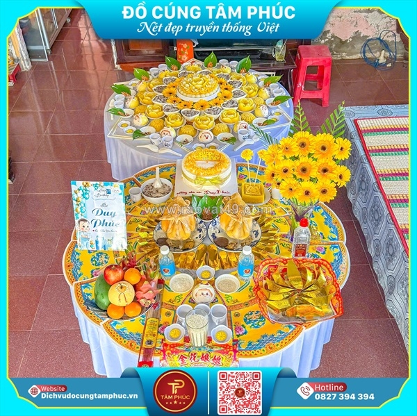 ~/Img/2026/8/y-nghia-ve-cac-mau-sac-cua-hoa-dong-tien-tren-mam-cung-mu-cho-be-01.jpg