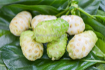🌿 chiết xuất quả noni có gì đặc biệt?