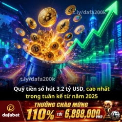 3,2 tỷ usd đổ vào quỹ crypto trong tuần qua — dòng tiền đang đi đâu?