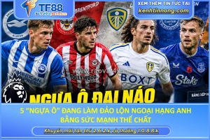 5 “ngựa ô” đang làm đảo lộn ngoại hạng anh bằng sức mạnh thể chất