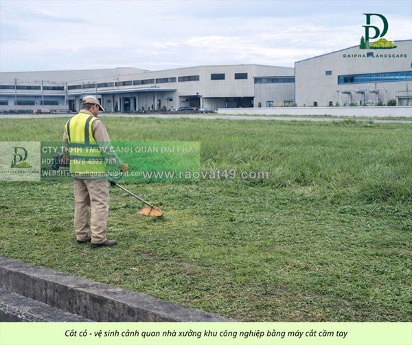 Báo giá cắt cỏ, cưa cây – chăm sóc cây xanh kcn sóng thần bình dương