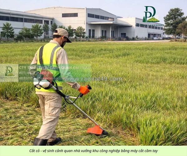 Báo giá cắt cỏ, cưa cây – chăm sóc cây xanh kcn sóng thần bình dương